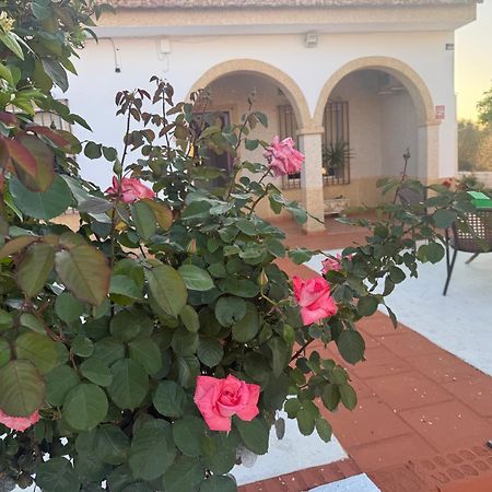 Villa La Casa Del Flamenco Cañada del Rabadán Esterno foto