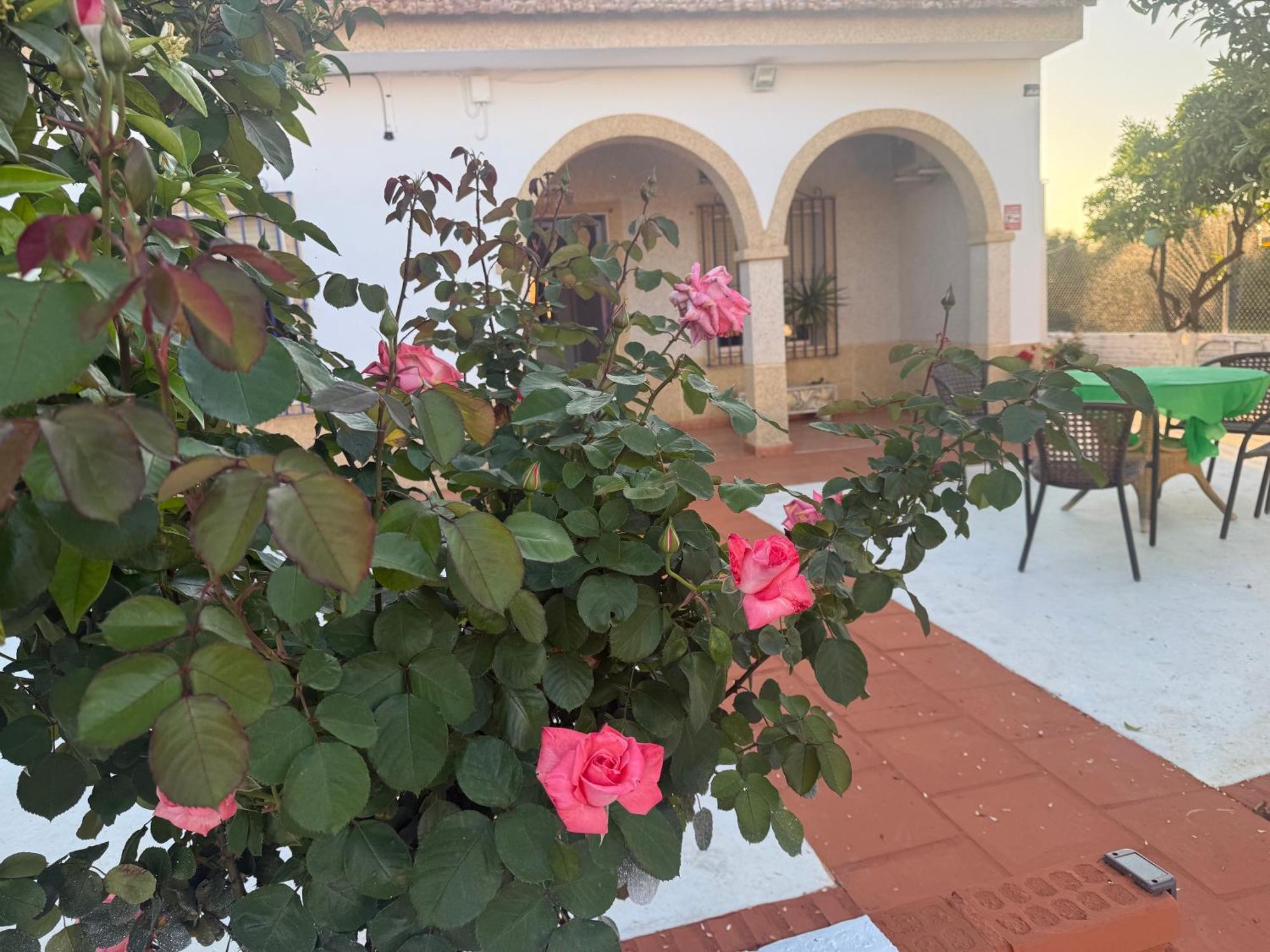 Villa La Casa Del Flamenco Cañada del Rabadán Esterno foto