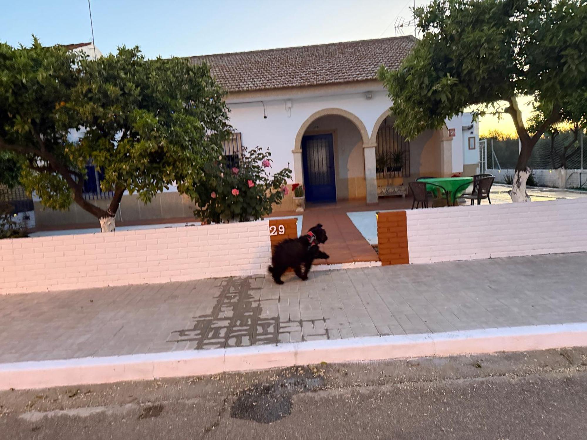 Villa La Casa Del Flamenco Cañada del Rabadán Esterno foto