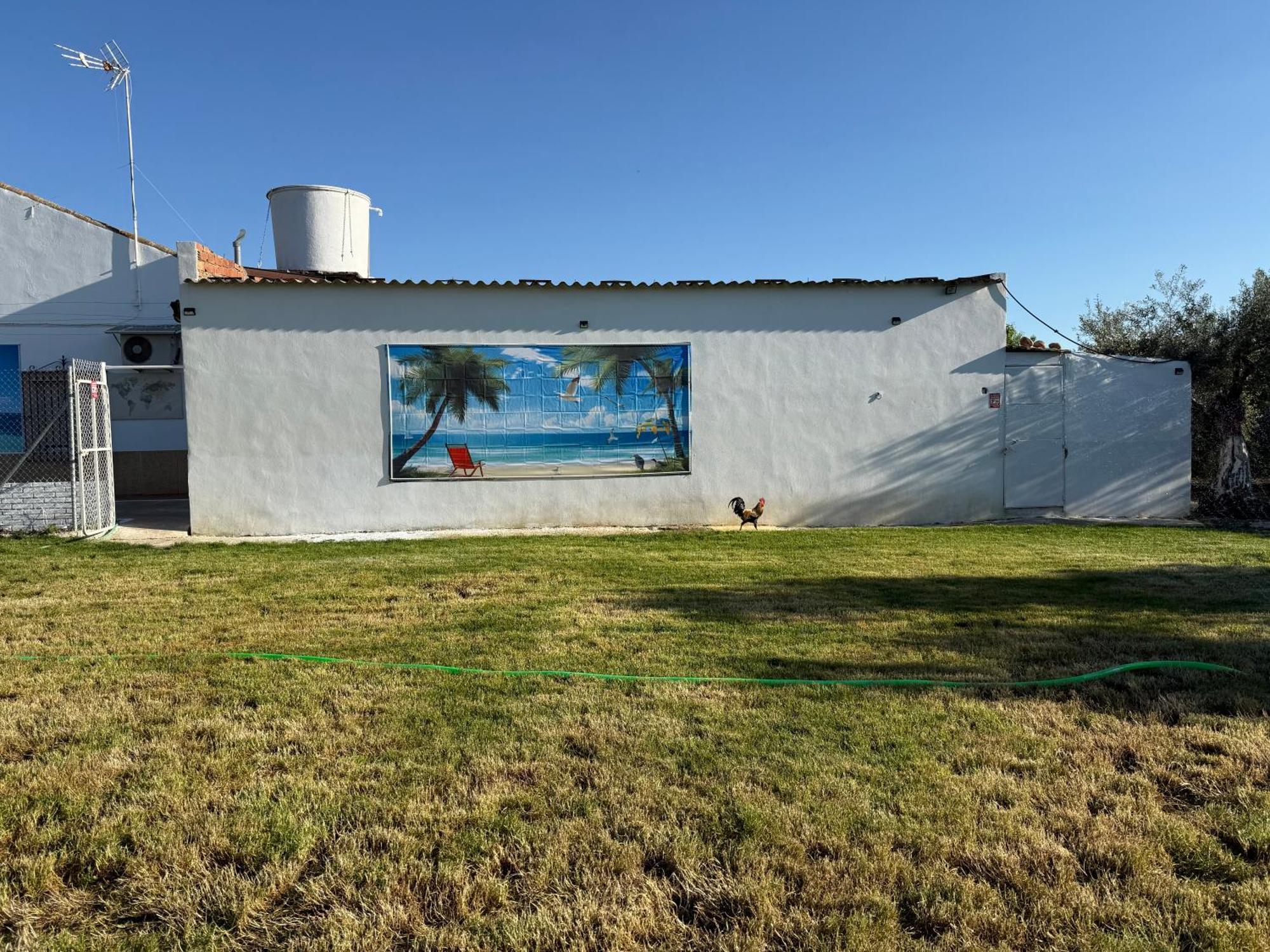 Villa La Casa Del Flamenco Cañada del Rabadán Esterno foto