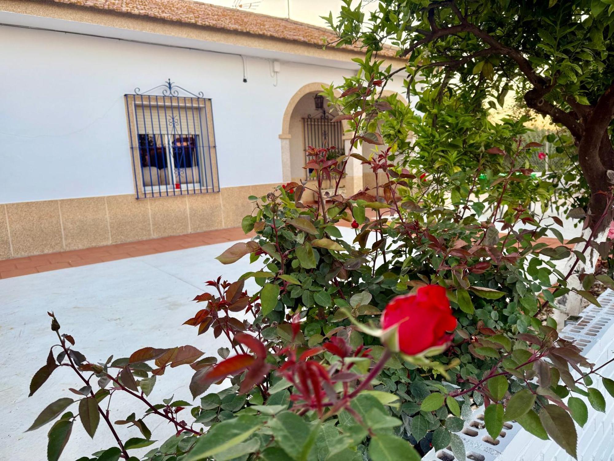 Villa La Casa Del Flamenco Cañada del Rabadán Esterno foto