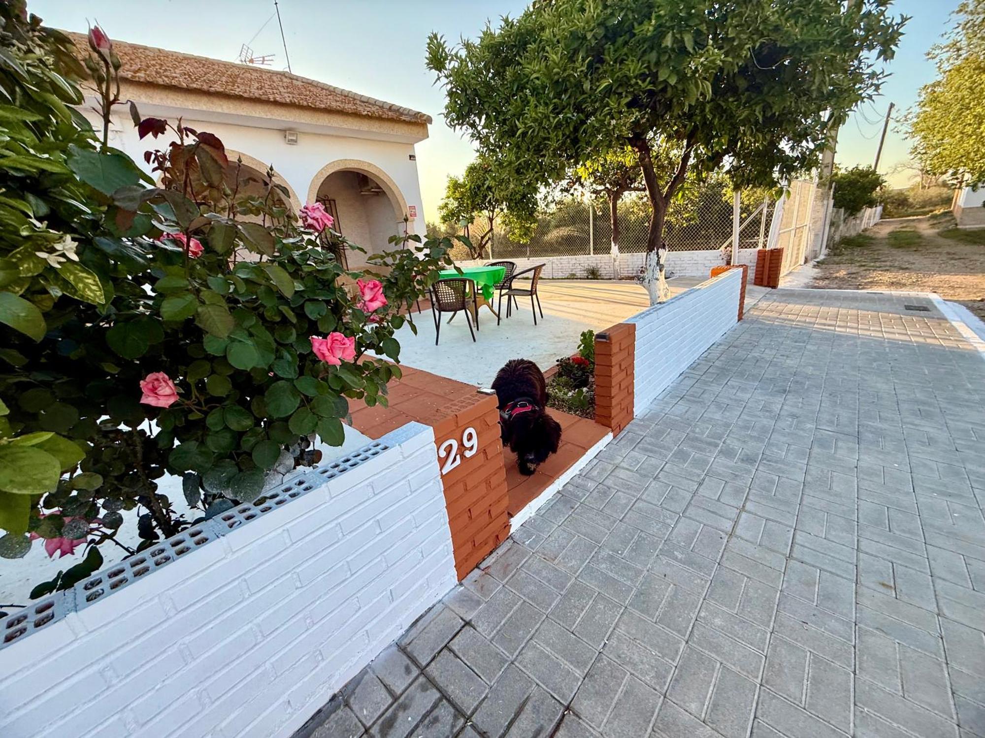 Villa La Casa Del Flamenco Cañada del Rabadán Esterno foto