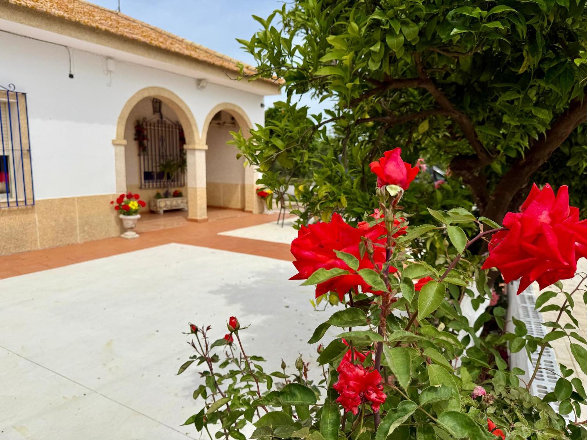 Villa La Casa Del Flamenco Cañada del Rabadán Esterno foto
