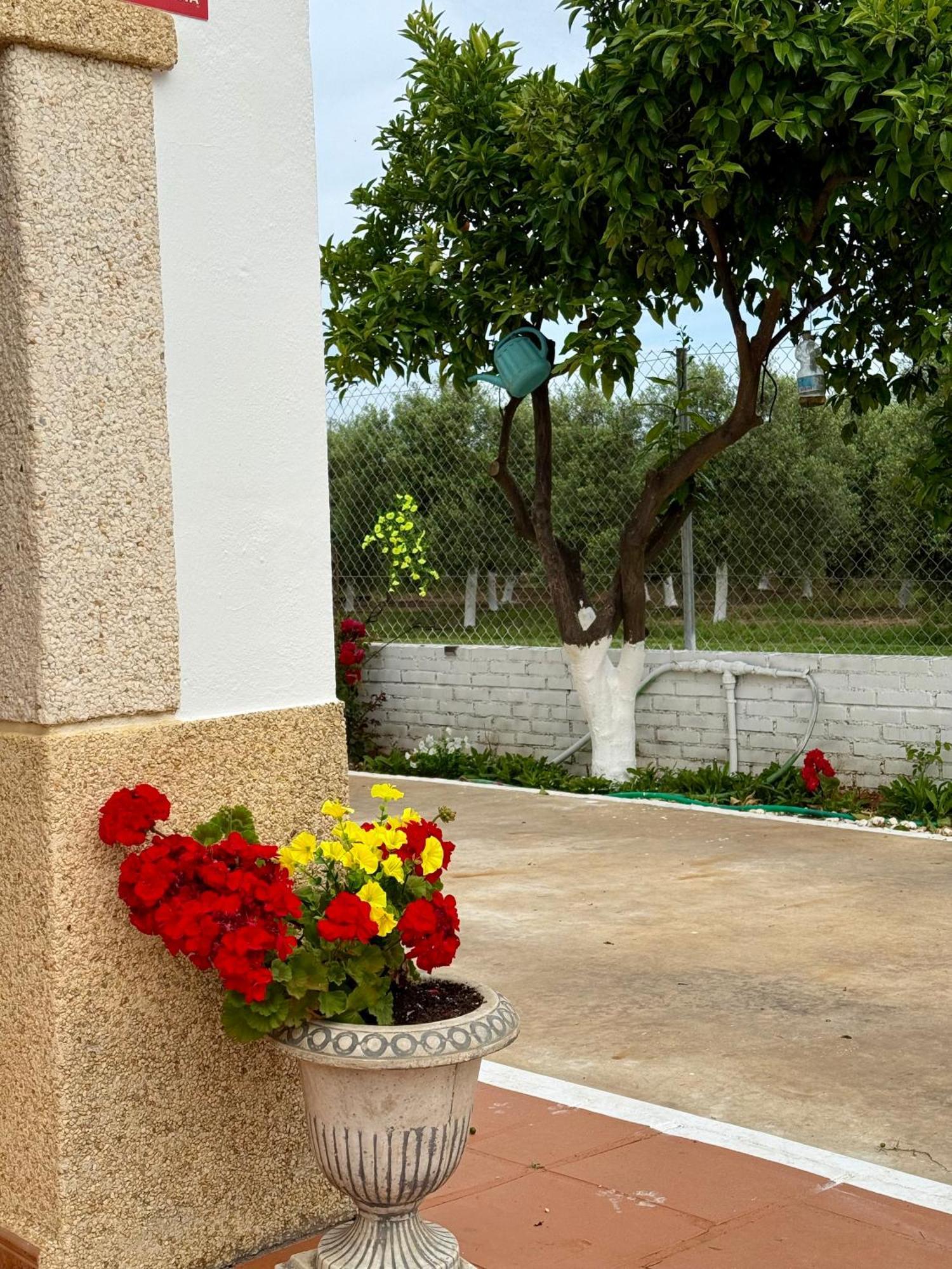 Villa La Casa Del Flamenco Cañada del Rabadán Esterno foto